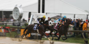  American Pharoah's muddy finish at the Preakness Stakes.Photography by Meredith Herzing