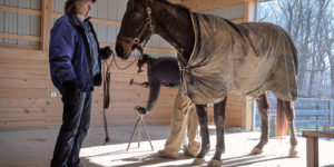  Beverly and Tom Strauss with rescued racehorse Larry's Getaway.Photography by David Colwell
