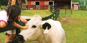  Visitors gets hands-on time with the animals at Juniper Moon Farm. Courtesy Photo