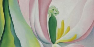  “Pink Tulip,” Georgia O’Keeffe, courtesy of the BMA